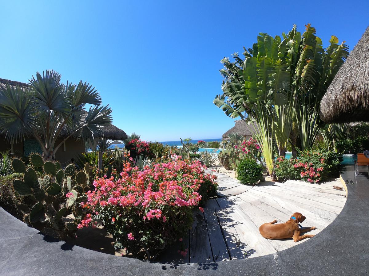 Samora Luxury Resort Santa María Colotepec Zewnętrze zdjęcie
