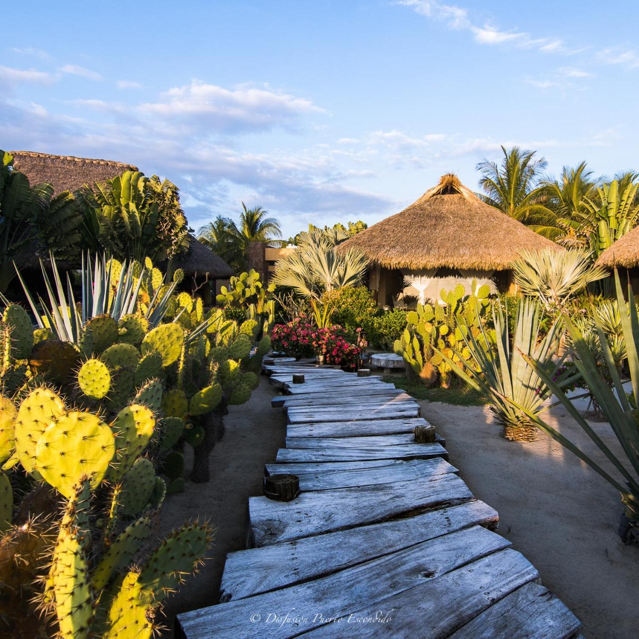 Samora Luxury Resort Santa María Colotepec Zewnętrze zdjęcie